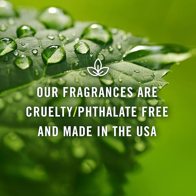 P&J Trading - Leather Scented Oil 30ml - Fragrance Oil for Candle Making, Soap Making, Diffuser Oil